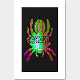 Tarantula Silhouette V21 (Tie Dye) Posters and Art